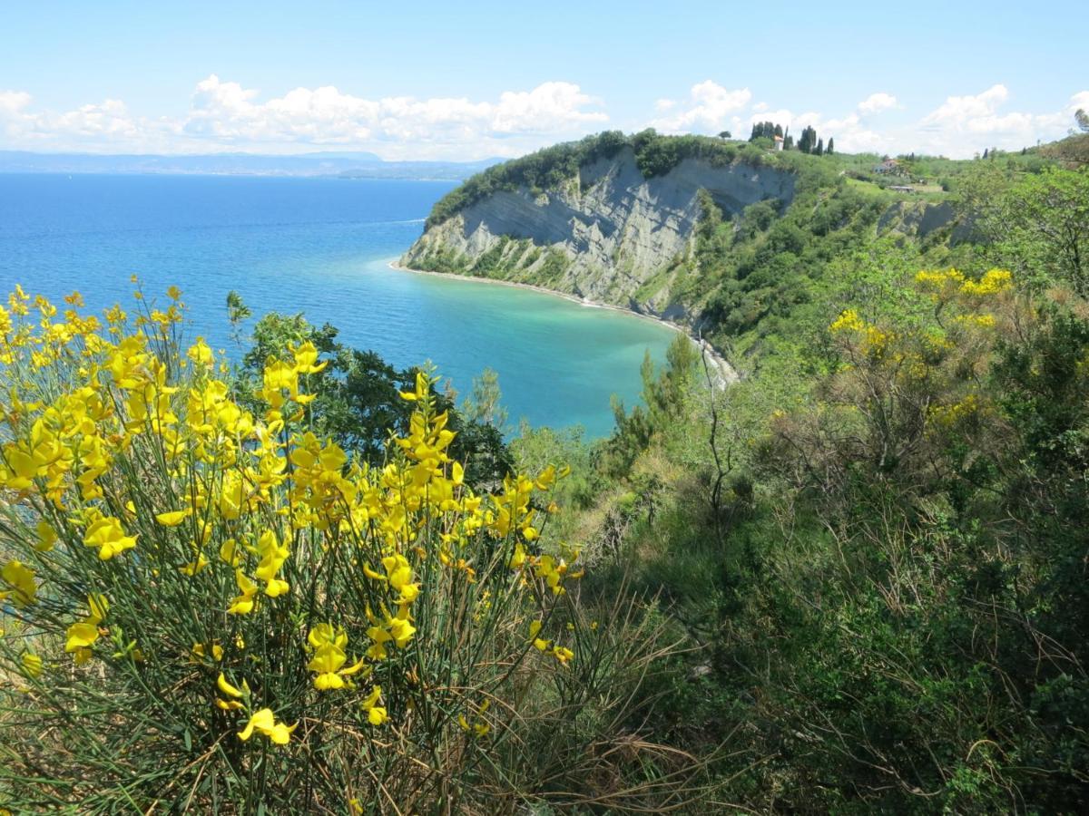 Diamond Apartment Piran FREE PARKING Bagian luar foto